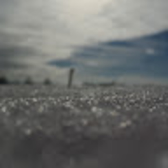 Meet your Posher, Carrie - Picture 1 of 1